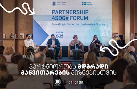 პარტნიორობა მდგრადი განვითარების მიზნებისთვის