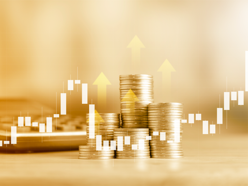 მაკროეკონომიკური მიმოხილვა - აგვისტო