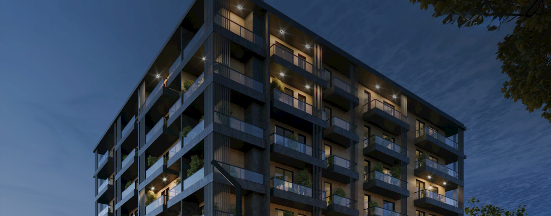 პრაიმ ლისი - Prime Lisi