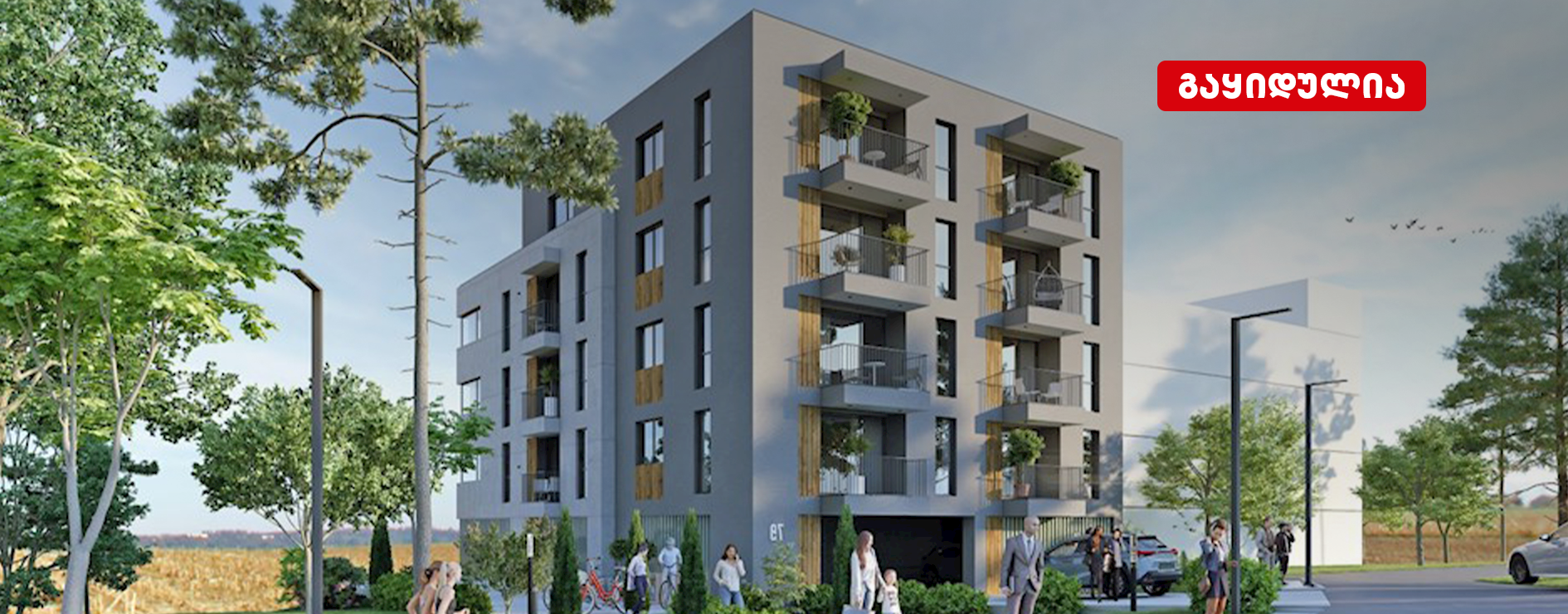 კომპაქტ ხედი